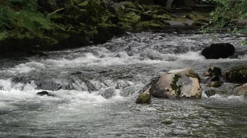 Static view of a creek
