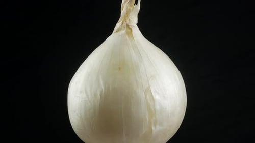 Pristine White Onion Rotating on Black Background