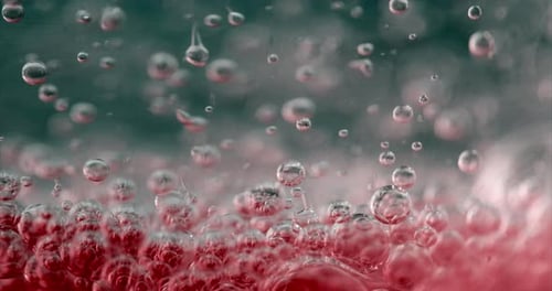 Purple Bubbles in Water. Close-up Video of Bubbles in Liquid.