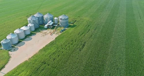 Aerial View of Cornfield and Grain Bins