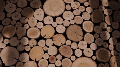 Wooden Disks Wall Decorative Background