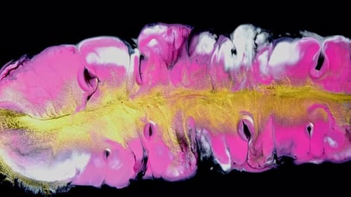 Abstract Fluid Art with Pink, Gold, White, and Black