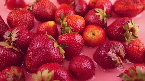 Close-up of Fresh Red Strawberries Being Splashed with Water