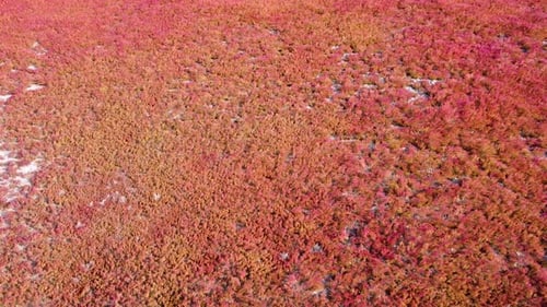 Vibrant Landscape Aerial View