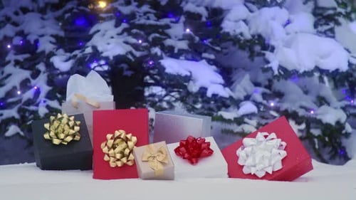 Christmas Presents Under Snow Covered Tree with Lights