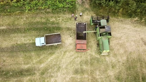Luftaufnahme des Mähdreschers bei der Ernte eines großen reifen Weizenfeldes. Landwirtschaft aus Drohnensicht.