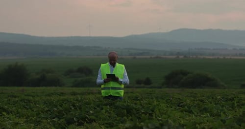 Landwirtschaftliche Industrie. Ein männlicher Landwirt mit einem digitalen Tablet auf einem Feld bei Sonnenuntergang. Agronomist nutzt