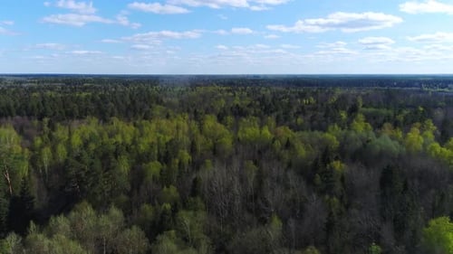 Voler au-dessus de la forêt verte par temps nuageux