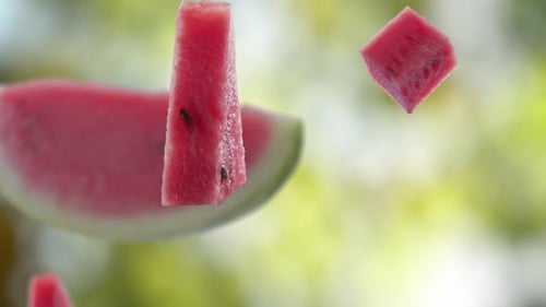 Flying of Watermelon and Slices in Garden Background