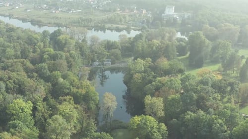 Beautiful flight over the park in summer. Trees with green leaves.