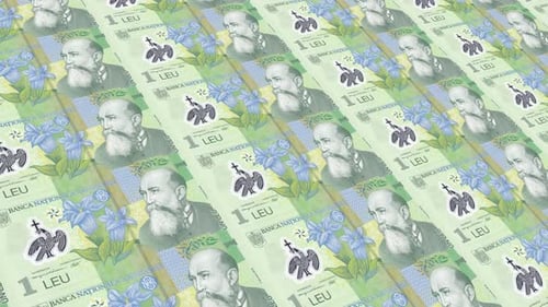 Dinero rumano /1 leu rumano 4K