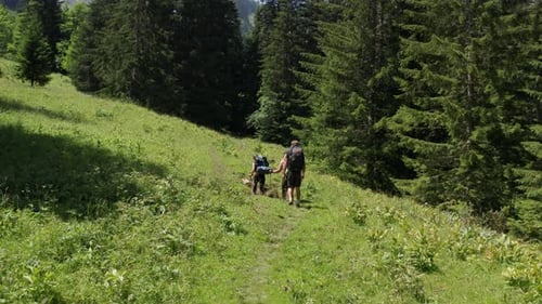 Group of hikers trekking through a beautiful green landscape