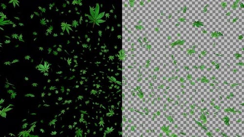 Falling Green Cannabis Leaves Seamless Loop
