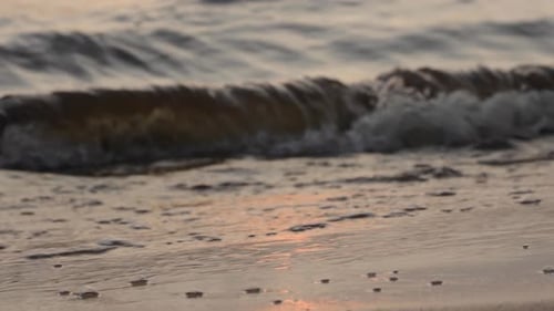 Sea Foamy Waves Wash the Sand on the Beach at the Sunset Closeup View