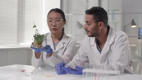 Biology Researchers Examining Green Plant In Lab
