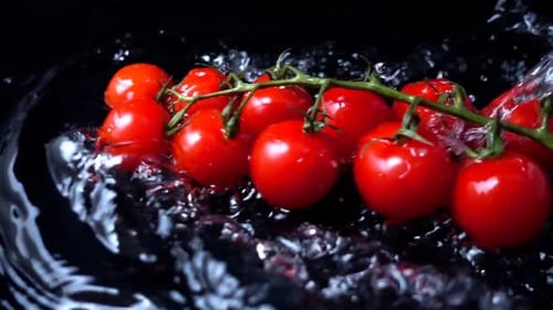 The Falling Cherry Tomatoes in Water