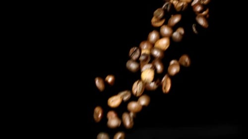 Roasted Coffee Beans Falling in Slow Motion