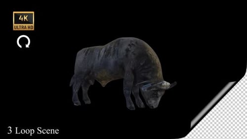 Animated Realistic 3D Bull Rotation Loop