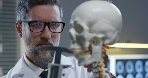 Doctor Examines Skull Model in Medical Laboratory