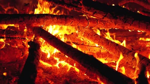 Das
große Lagerfeuer der Zweige brennt nachts im Wald. Zeitlupe