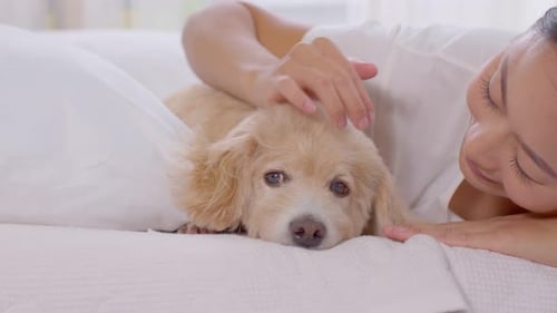 Woman Cuddling Adorable Dog in White Bed