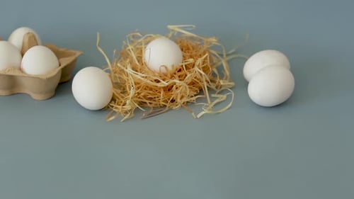 White Chicken Eggs in Carton and Straw Nest
