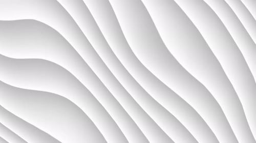 Clean Modern Abstract White Wavy Lines Background Loop