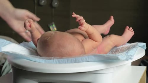 Baby Measured on Scale for Health Check