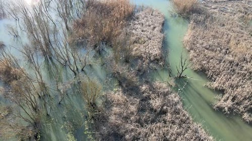 Dieses Bild wurde im KOCAELİ GÖLKAYPARK aufgenommen. Es ist ein natürlicher See