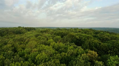 Green Spring Nature Flourishing Towards Mountain Top - Aerial View.
