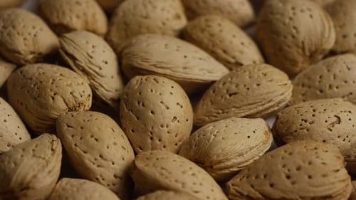 Cinematic, rotating shot of almonds on a white surface - ALMONDS