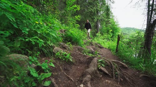Man with Backpack Hiking Outdoors in the Coniferous Forest
