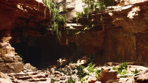 Large Fairy Rocky Cave with Green Plants