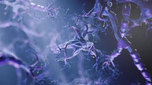 Neuron Micro Zoom