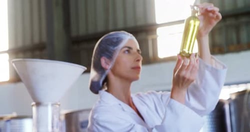 Technicien examinant l'huile d'olive 4k