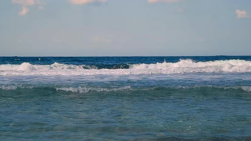 Sea