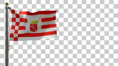 Realistic Waving Flag with Pole Looping Animation