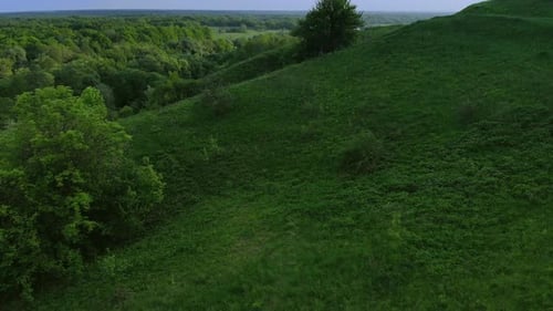 Aerial View of Green Summer Forest and Canyon at Sunset