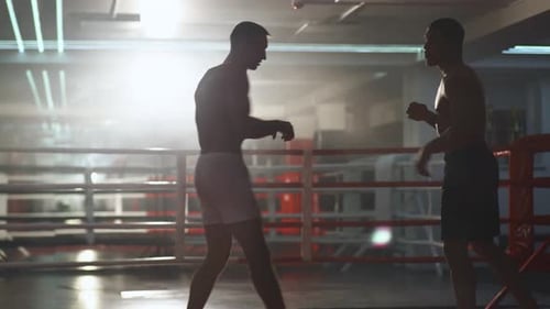 Kickboxing, Man Boxers Train in Sparring, They Performs Strikes with Their Feet and Hands, Training