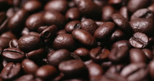 Roasted coffee bean