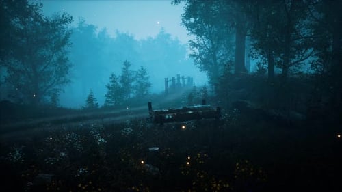Forêt en hauteur avec la lumière brillante de la lune
