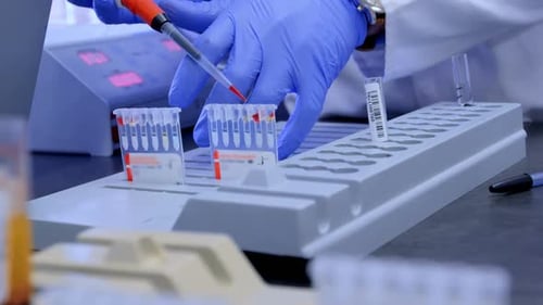 Doctor testing blood sample in blood bank 4k
