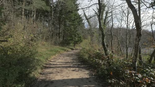 Forest path in Plitvice National Park