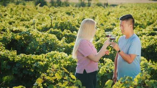 Wine Tasting in the Vineyard. People Try Red Wine on a Wine Tour