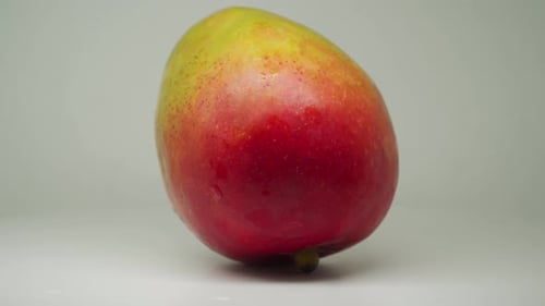 A Beautiful Vibrant Colored Sweet Mango On The White Background Turntable - Close Up Shot