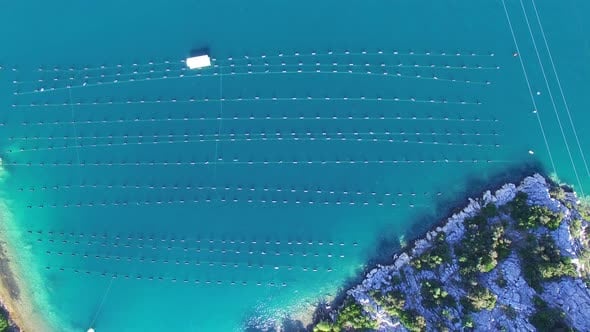 Aerial view of shell farming in Croatia, Overhead Stock Footage ft ...