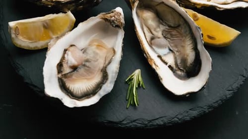 Oysters with Lemon on Black Plate