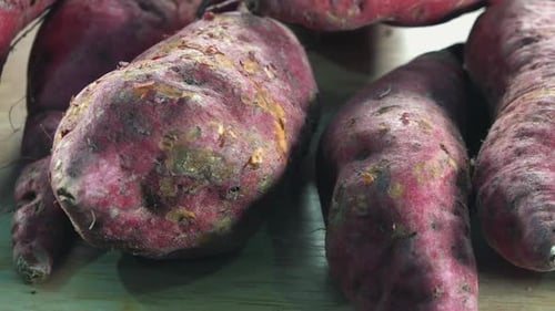 Fresh Sweet Potatoes on Display