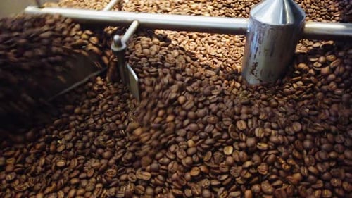 Coffee Beans Being Roasted in Silver Machine