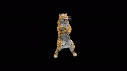 Leoparden-Tanzen 4K
